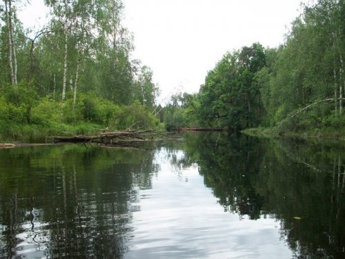 реа Поль продолжение