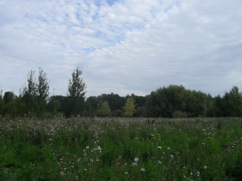 Красоты Алтая