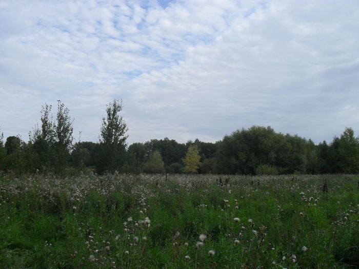 Красоты Алтая