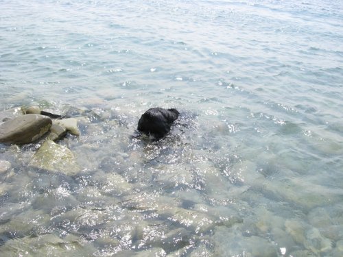 водолаз