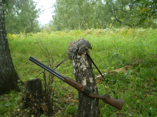 За рябчиками