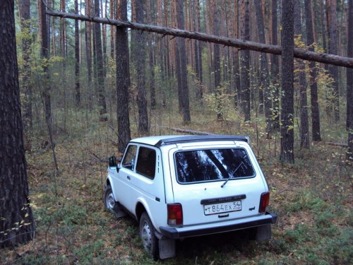 Шлагбаум в лесу...