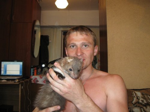 Знакомый зверёк?