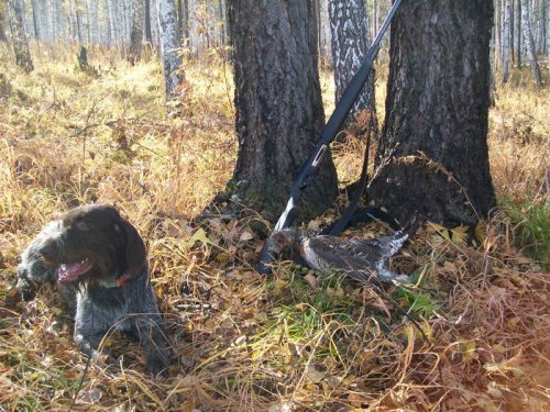 Первый в этом сезоне