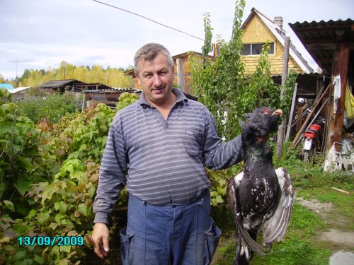 Тяжёлинький