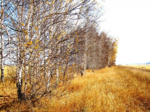 Осень