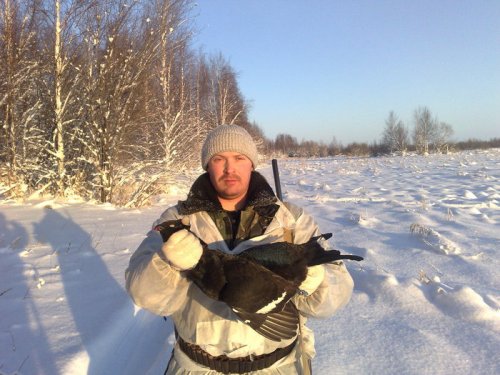 Солнечный морозный день