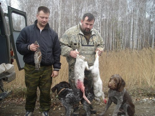 НОООиР секция континетальных легавых Вот и результат(нашим помошникам 6 мес. и 6 дней)
