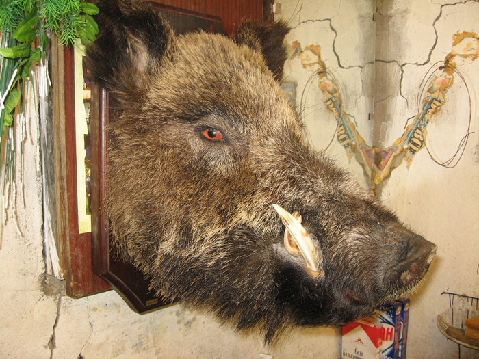 Кабанчик
