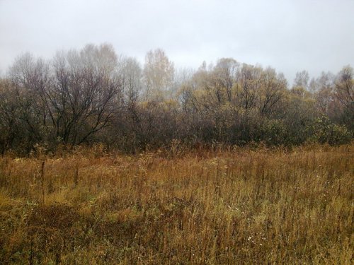за косачем