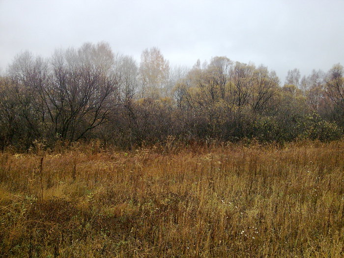 за косачем