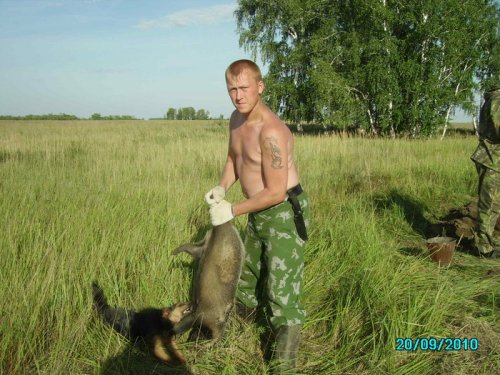 первый барсук Жулика