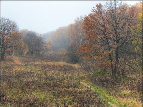ГРФ Коченево