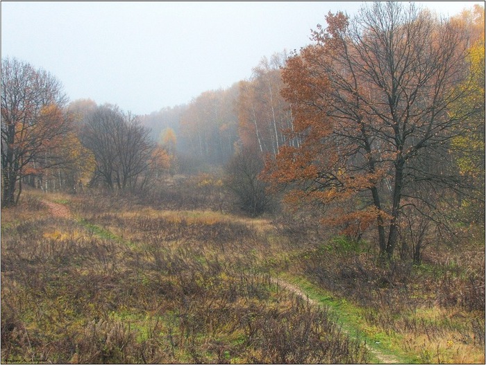 ГРФ Коченево