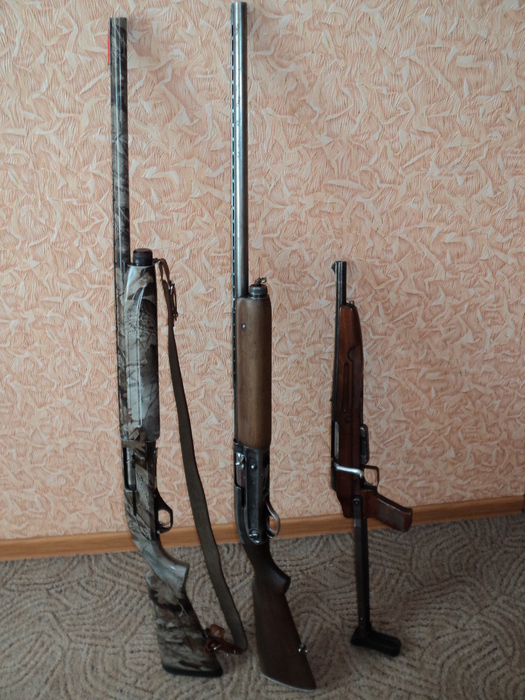 мои стволы.