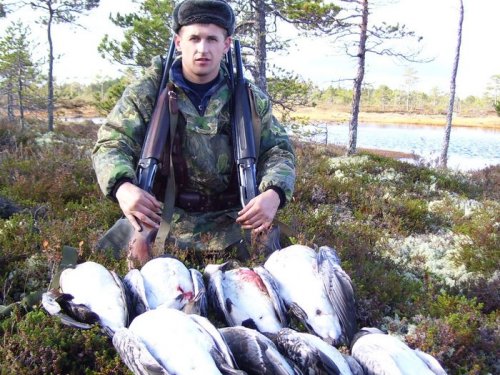 Ну вот и гусиков проводили.