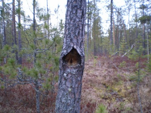 Хмм
