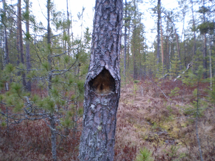 Хмм