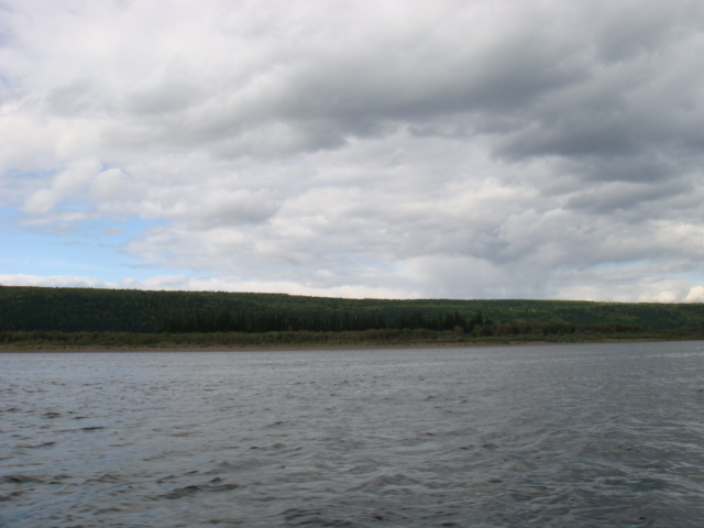 Ельник