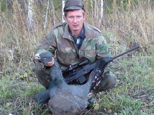 Петушок
