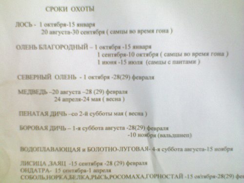 Сроки охоты