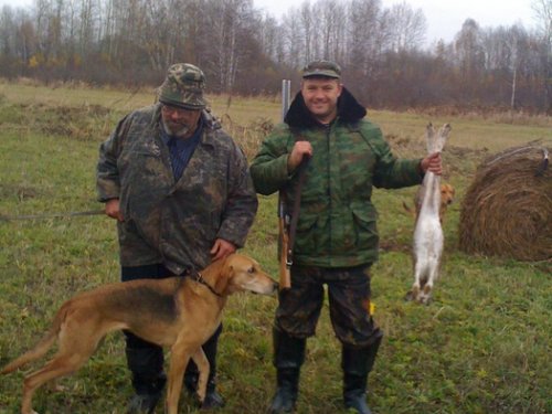 Осенний зайчишка.