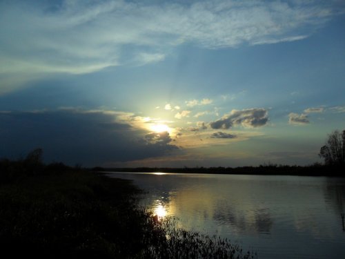Зорька