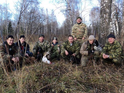 Открылись по зайцу