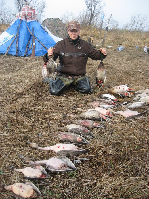 закрытие(утиной охоты)2010!