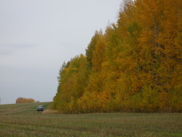 Сентябрь 2010