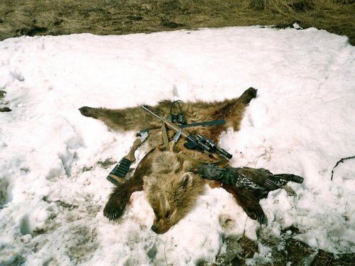 В Чарышском районе