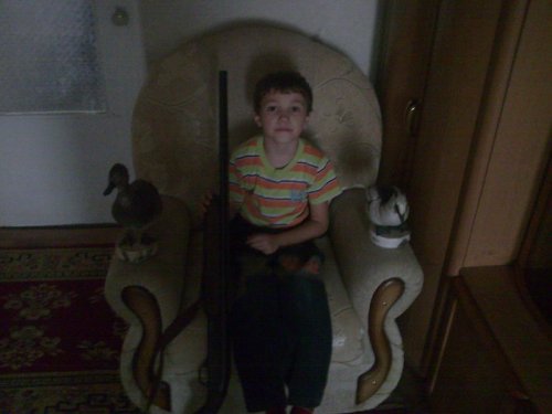 Утки