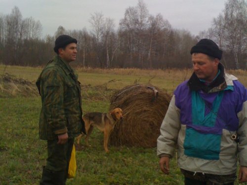 Соловей.