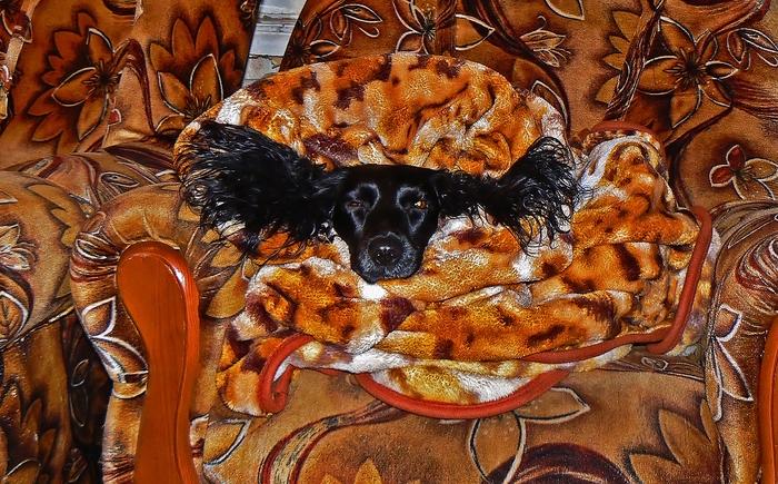 Уфф! Я дома!