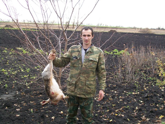 заяц