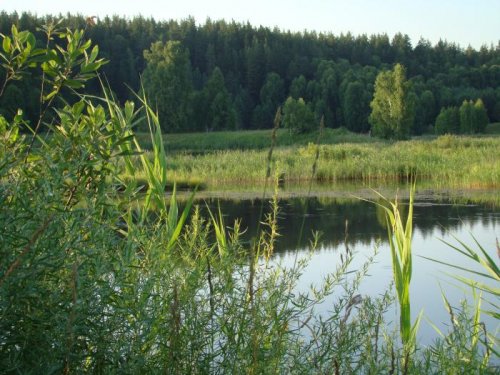 Места утинные