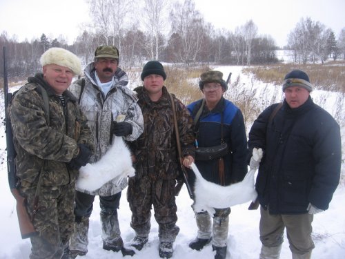 Трудовые Зайцы 