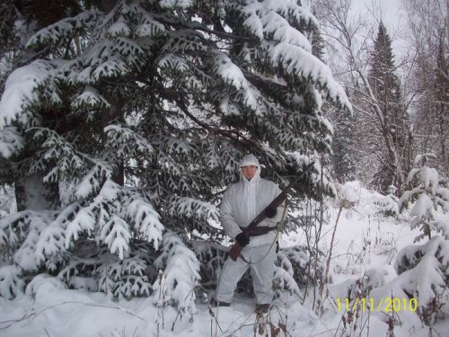 10 ноября 2010