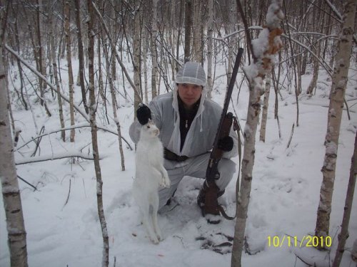 Зайчик