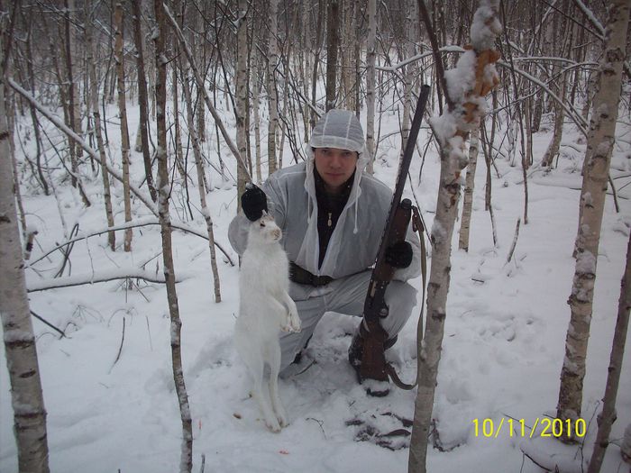 Зайчик