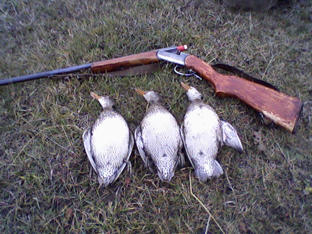 тройка 