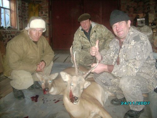Рогатики