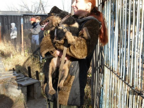 Ярик. Победитель испытаний 30.10.2010.г.