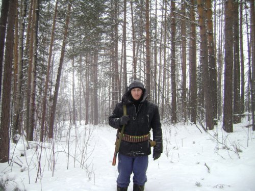 В тайге