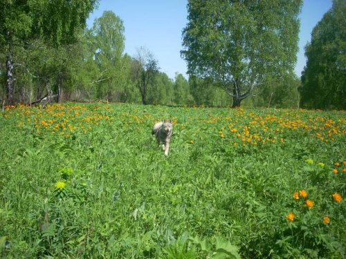 на прогулке!
