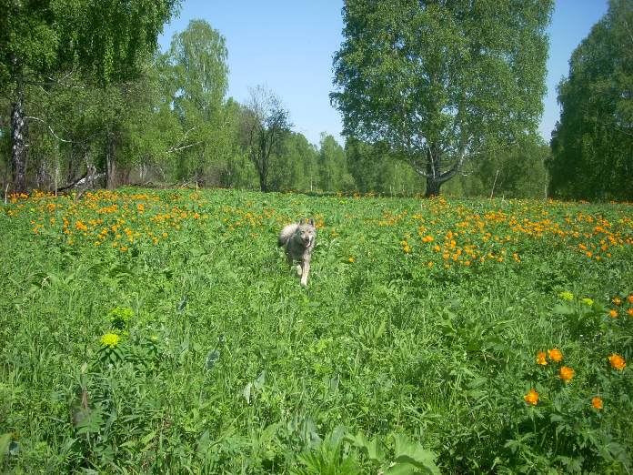 на прогулке!