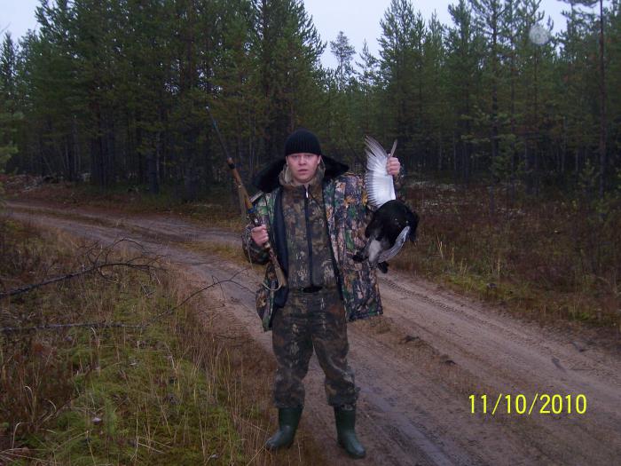 Тетерев