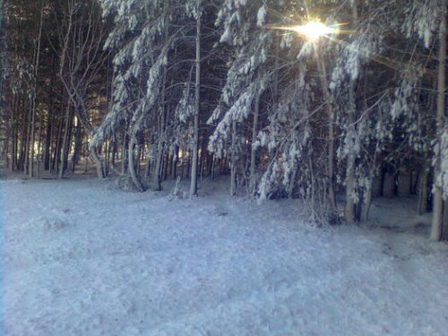 первый снег.