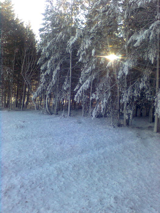 первый снег.