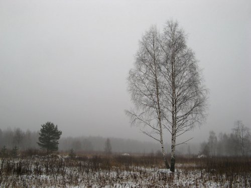 первый снег
